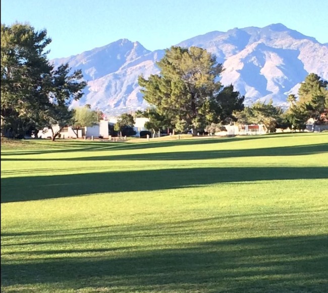 Best public golf courses Tucson driving range near you