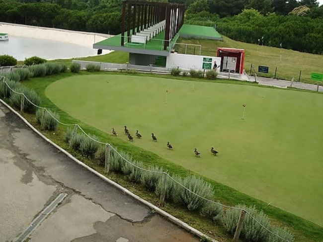 Best golf courses Lisbon driving ranges your area